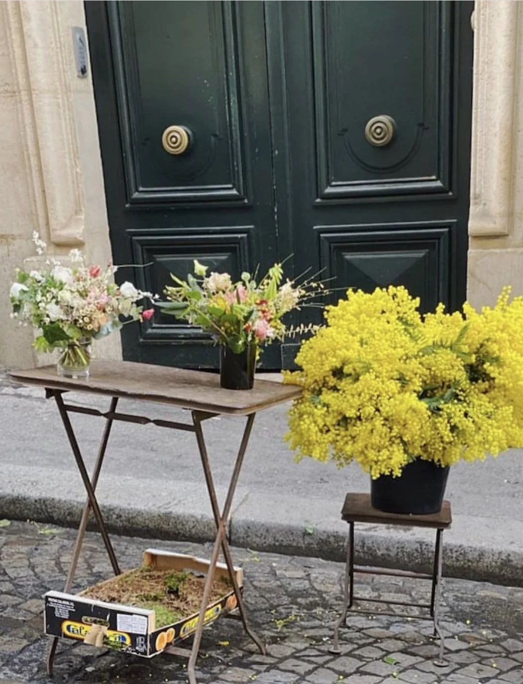 The season of the Mimosa in Provence — Notre Maison Design Group